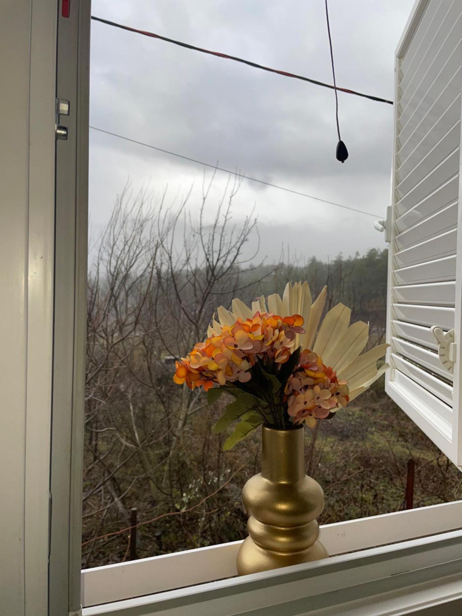 Riza Guest House Puke Экстерьер фото